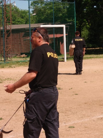 p6050336