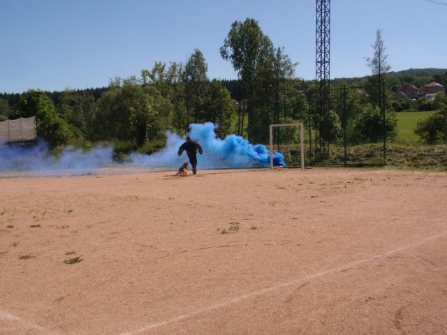 p6050344